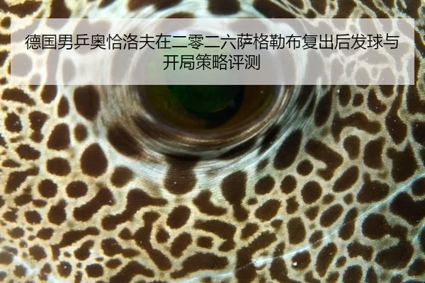 de-guo-nan-ping-ao-qia-luo-fu-zai-er-ling-er-liu-sa-ge-lei-bu-fu-chu-hou-fa-qiu-yu-kai-ju-ce-lve-ping-ce-2-238.jpg