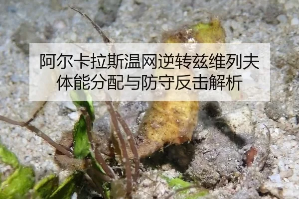 a-er-ka-la-si-wen-wang-ni-zhuan-zi-wei-lie-fu-ti-neng-fen-pei-yu-fang-shou-fan-ji-jie-xi-3-510.jpg