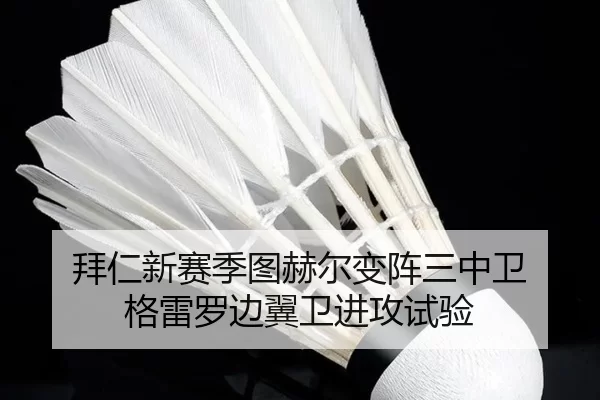 拜仁新赛季图赫尔变阵三中卫 格雷罗边翼卫进攻试验